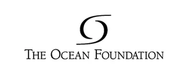 The Ocean Foundation